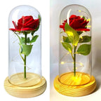 Rosa Encantada Iluminada com Cúpula
