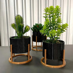 Trio de Vasos Cachepot com Suporte Para Cactos ou Suculentas